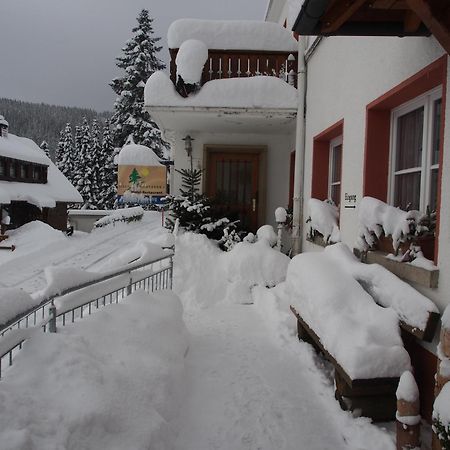 Haus Sommerberg Feldberg  Kültér fotó