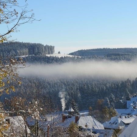 Haus Sommerberg Feldberg  Kültér fotó