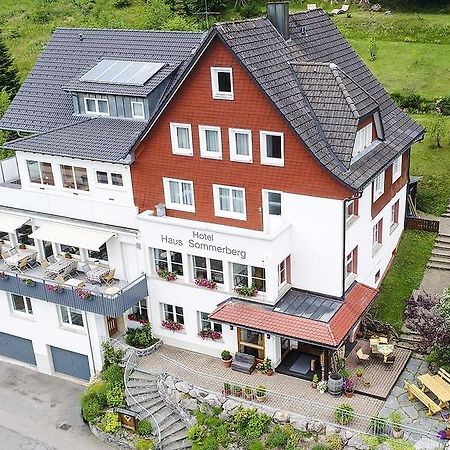 Haus Sommerberg Feldberg  Kültér fotó