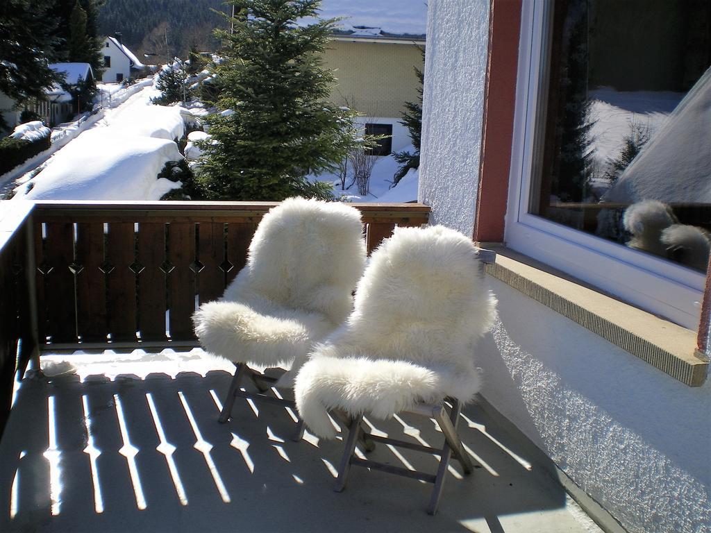 Haus Sommerberg Feldberg  Kültér fotó