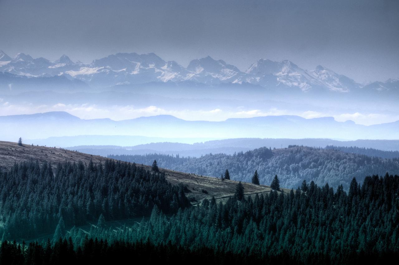 Haus Sommerberg Feldberg  Kültér fotó